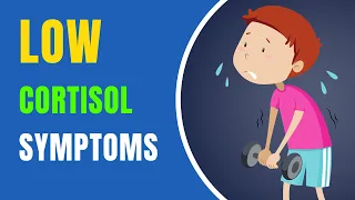 Symptoms Of Low Cortisol Levels | The Impact of Low Cortisol Levels on Your Health