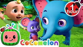 Opposite Friends Song - Fantasy Animals | CoComelon - Animal Time | Nursery Rhymes for Babies