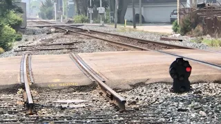 Train Almost Street Running, Abandoned RR tracks Being Removed, Blue Heron Flees Train On Trestle