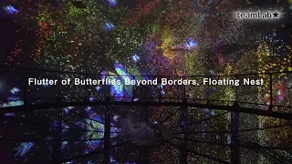 Flutter of Butterflies Beyond Borders, Floating Nest / 境界のない群蝶、そして浮遊する巣