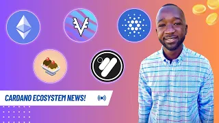 Cardano Staking 14X BIGGER than Ethereum! SundaeSwap V2 RELEASE and VyFi Non-Custodial LP Farming!