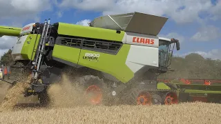 Claas Lexion 8900 Harvesting Barley w/ Claas Convio 1230 Header | WORLDS BIGGEST COMBINE | DK Agri