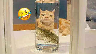 Funniest Animals 😄 New Funny Cats and Dogs Videos 😹🐶 2024 Part 42