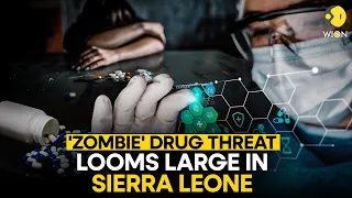 Zombie drug threat triggers national emergency in Sierra Leone | WION Originals