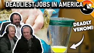 Deadliest Job in America - Snake Milker! REACTION!! | OFFICE BLOKES REACT!!