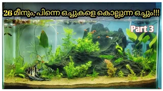 പുഴമണൽ അക്വേറിയം : Part 3 adding fish, plants & assassin snails! |LJ Videos