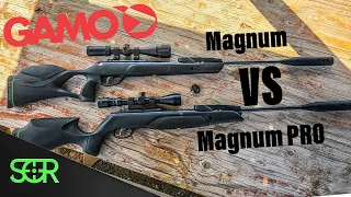 NEW Gamo Magnum PRO .22 VS Gamo Magnum .22
