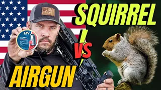 SQUIRRELS VS. AIRGUNS PT1: Who Will Win the Savage Slug Hunt? I HN 30 cal airgun hunting with slugs