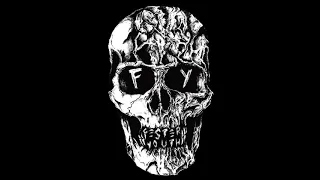 Fester Youth  - 2015 Singles (USA)