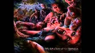 INFESTED ENTRAILS - Born With a Barbed Wire Cock