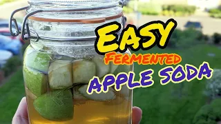 EASY FERMENTED APPLE SODA ( Best Homemade beverage 🍻)