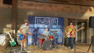 Boys Don't Cry - Low Birds (Live at Little Arrow, May 2023)