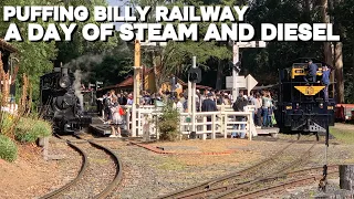 A Full day! | Puffing Billy Railway | 8A, DH5, DH59, Fire Patrol |