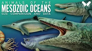 Aquatic Animals of the Dinosaur Era. The real ¨Sea Monsters¨. size comparison and data