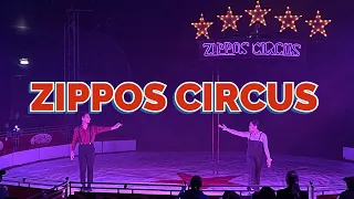 Zippos Circus 2021 | Best Circus in the town | Amazing stunts | Circus in England | Real Babar Khan