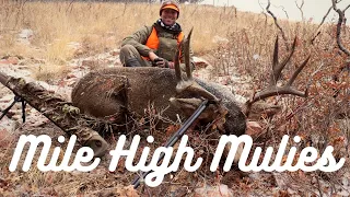 MILE HIGH MULIES | Colorado Rifle Mule Deer Hunt