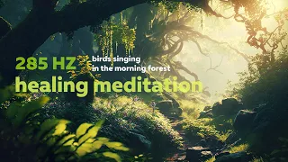 • Birds Singing in the Morning Forest • Healing Meditation • 285 HZ •