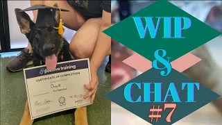 WIP and Chat #7 ~ Graduating Puppy ~Diamond Painting~