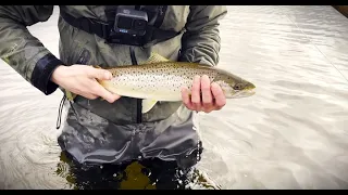 Big Sea Trout On The Fly | West Of Scotland