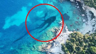 10 Scariest Creatures Spotted On Google Earth