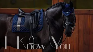 I Know You || Dressage Music Video ||