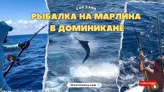 Доминикана: рыбалка на марлина (Cap Cana)/ Marlin fishing in the Dominican Republic- iDominicana.com