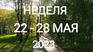 ВОДОЛЕЙ ♒. ХОРОШАЯ НЕДЕЛЯ 22-28 МАЯ 2023. Таро прогноз.