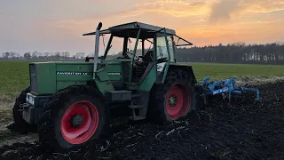 Farmvlog #177 | 611 in freier Wildbahn