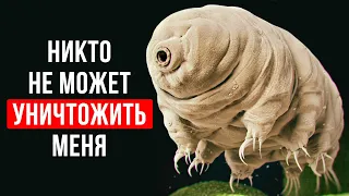 Это Создание Может Жить в Космосе и Другие Поразительные Факты