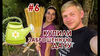 Купили заброшенную дачу #6 серия. Вычищаем домик. Удивительные находки. Сажаем зелень.