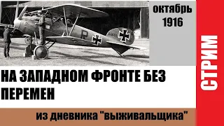 Rise of Flight  (Война в небе 1917)