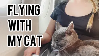 How to travel with your cat on plane | Step-by-step video |  Austrian Airlines