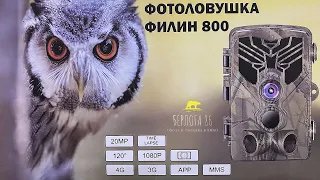 ОБЗОР Фотоловушки ФИЛИН  800 !!!!! ПОДПИШИСЬ !!!