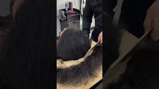 Amazing 🔥 Women Hair Cutting | Famous barber 👦 | PHD Hair | #shorts #haircutting  by #phd_hair