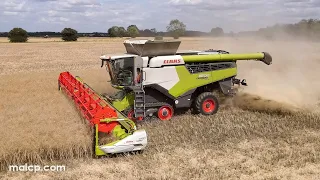 4Kᵁᴴᴰ Harvest 2023: Claas Lexion 8700TT & V1230, Fendt 724 Vario & Larrington Majestic grain trailer