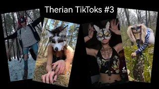 Therian TikTok Compilation #3