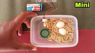 How To Make Mini Egg incubator at Home without temperature controller | incubator for pigeons eggs