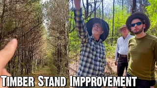 Timber Stand Improvement in Alabama - Pines and Hardwoods - Creating Quality Hunting Habitat
