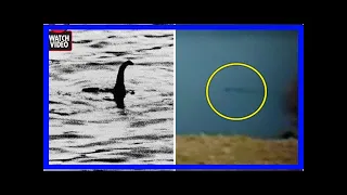 Breaking News | Loch Ness Monster FOUND? Tourist films amazing clip of ‘20ft beast’ in Scottish Hig