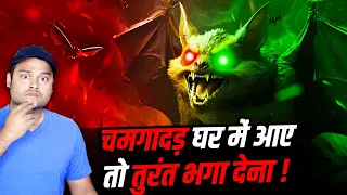 चमगादड़ 🦇 घर में आना अशुभ क्यों माना जाता है 🏠? Where Does Bat Superstition Come From? Many Facts