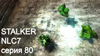 STALKER NLC7. Серия 80. Туманная чаща и изумрудная троица