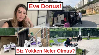 Yuvaya Donus! Neyse ki Hava Guzel! Bahce Mahsulleri! #hollandadanatesailesi