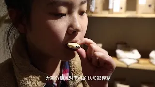 中国有机农业纪录片