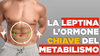 La LEPTINA: l'ormone chiave del nostro METABOLISMO.