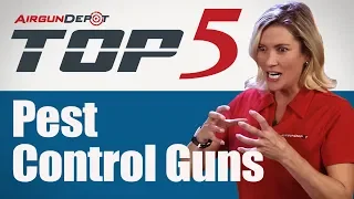 Top 5: Pest Control Guns