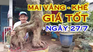 ANH NĂM 📲  O788822277 GIÁ MỀM - MAI VÀNG, MAI TỨ QUÝ, KHẾ CHUA - NGÀY 27/7 "MAI VÀNG NAM BỘ"