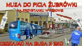 █▬█ █ ▀█▀  🔥 MUZA DO PICIA ŻUBRÓWKI NA PRZYSTANKU W PSZOWIE CZEKAJĄC NA BUSA Z EKO 🔥