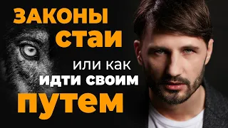 ЗАКОН СТАИ. КОГО ТЫ ПОДДЕРЖИВАЕШЬ? Сергей Финько