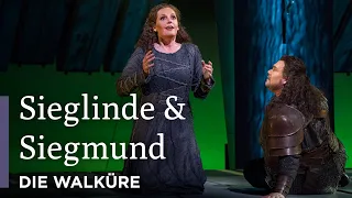 Sieglinde & Siegmund | Die Walküre | Great Performances at the Met