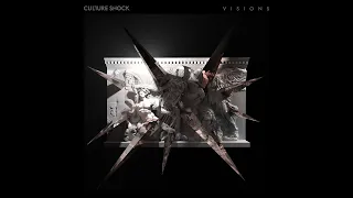 Culture Shock - Visions